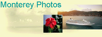 Monterey Photos