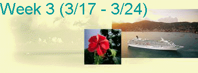 Week 3 (3/17 - 3/24)