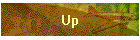 Up