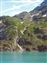 Glacier Bay National Park