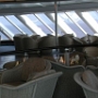 2000 - Palm Court
