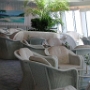 2000 - Palm Court
