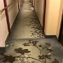 2015 - Penthouse Deck Carpet