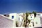 Mykonos