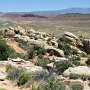 Arches National Park