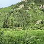 Aspen - Maroon Bells