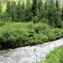 Aspen - Maroon Bells
