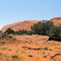Canyonlands NP - Whale Rock
