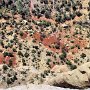 Colorado NM - Cold Shivers Point