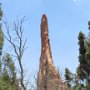 Colorado Springs - Garden of the Gods