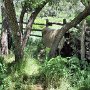 Colorado Springs - Rock Ledge Ranch
