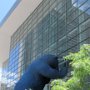                                Denver - Big Blue Bear