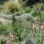 Denver Botanic Gardens