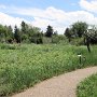 Denver Botanic Gardens