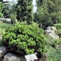 Denver Botanic Gardens