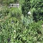 Denver Botanic Gardens