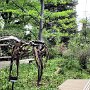 Denver Botanic Gardens