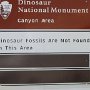Dinosaur NM - Canyon Area