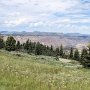 Dinosaur NM - Canyon Area