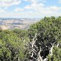 Dinosaur NM - Canyon Area