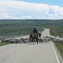 Dinosaur NM - Canyon Area - Traffic Jam