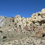 Dinosaur NM - Quarry Area