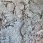 Dinosaur NM - Quarry Area - Fossil Wall