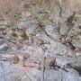Dinosaur NM - Quarry Area - Fossil Wall