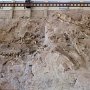 Dinosaur NM - Quarry Area - Fossil Wall