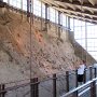 Dinosaur NM - Quarry Area - Fossil Wall