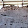 Dinosaur NM - Quarry Area - Fossil Wall