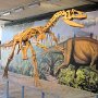 Dinosaur NM - Quarry Area