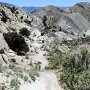 Dinosaur NM - Quarry Area - Fossil Trail