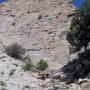 Dinosaur NM - Quarry Area - Fossil Trail
