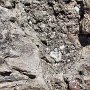 Dinosaur NM - Quarry Area - Fossil Trail