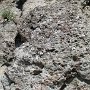 Dinosaur NM - Quarry Area - Fossil Trail