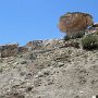 Dinosaur NM - Quarry Area - Fossil Trail