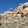 Dinosaur NM - Quarry Area - Fossil Trail