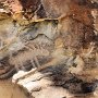 Dinosaur NM - Quarry Area - Fossil Trail