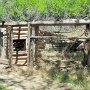 Dinosaur NM - Quarry Area - Auto Tour - Homestead