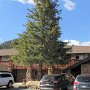 Estes Park - Maxwell Inn