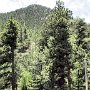 Estes Park - Tramway