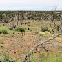Mesa Verde NP