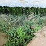 Mesa Verde NP - Wetherill Mesa Area - Long House Tour