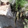 Tonto Natural Bridge SP