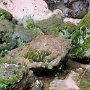 Tonto Natural Bridge SP