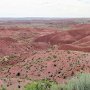 Petrified Forest NP - Painted Desert
