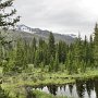 Rocky Mountain NP - Beaver Pond