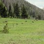 Rocky Mountain NP - Holzwarth Historic Site