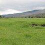 Rocky Mountain NP - Holzwarth Historic Site